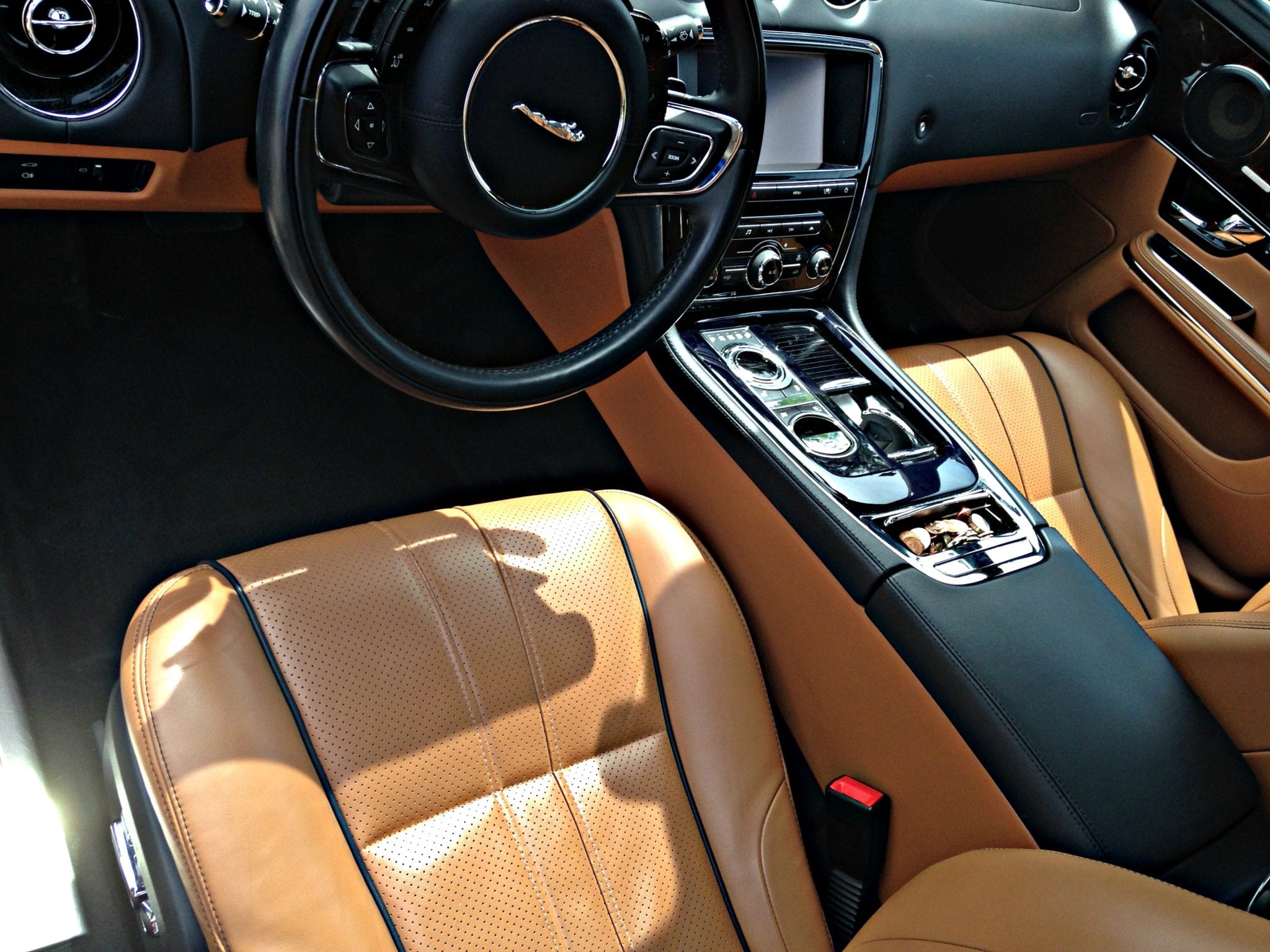 Jaguar Inside