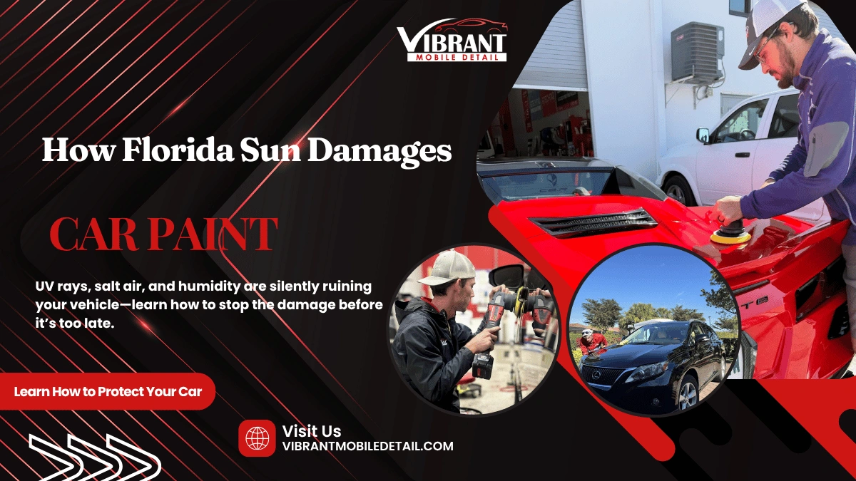 How Florida’s UV Rays, Salt Air, and Humidity Destroy Your Car’s Paint (And How to Fight Back)