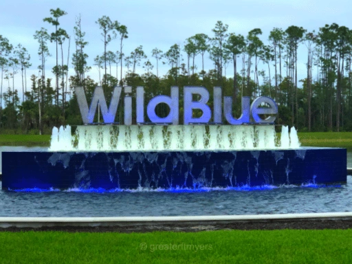 WildBlue
